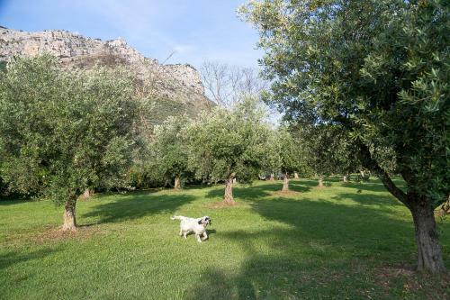 Agroturismo Belvedere Monte Leano