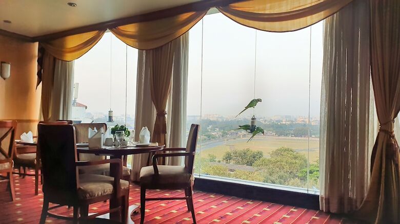 Hotel The Orchid