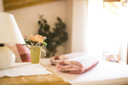 Hostal Tollhof