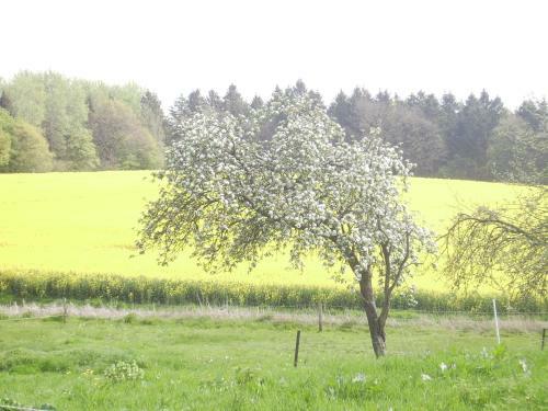 Apartamento Hof Rodenkrog
