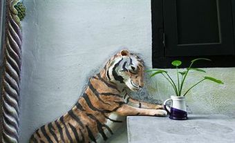 Hostal The Happy 8 Retreat @ Old Town Ipoh