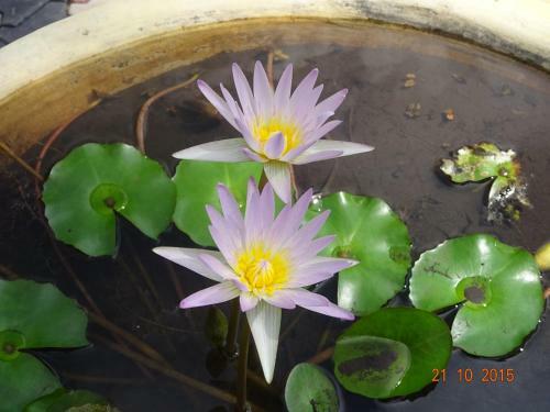 Hotel Hilda Guest House