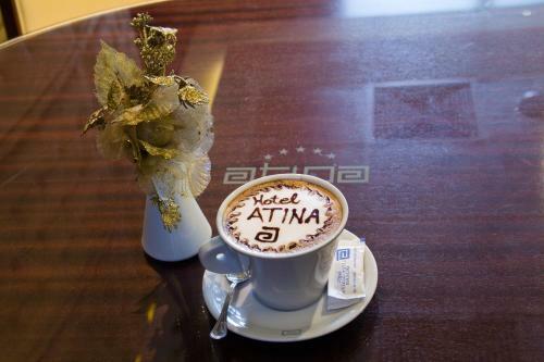Hotel Atina