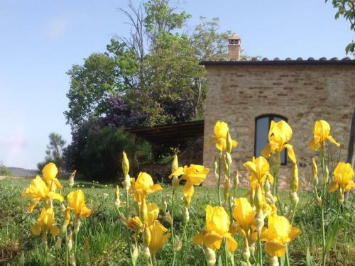 Hostal La Fornace Di San Galgano