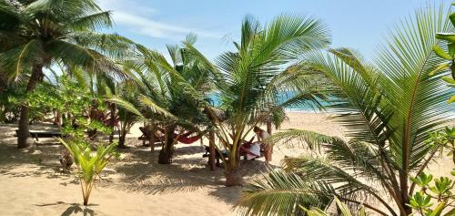 Ganesh Garden Beach Cabanas