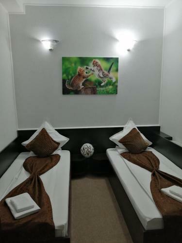 Hostal Casa Teilor