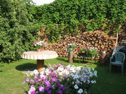 Hostal Pulkvedis Guest House