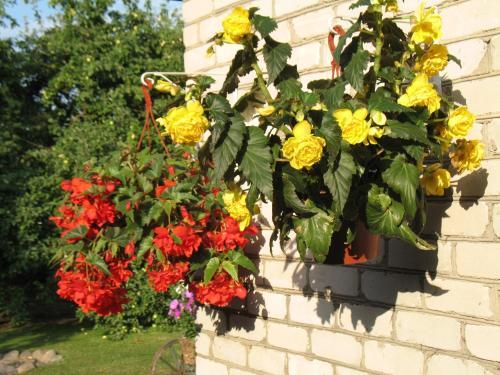 Hostal Pulkvedis Guest House