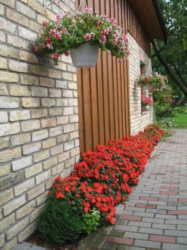 Hostal Pulkvedis Guest House