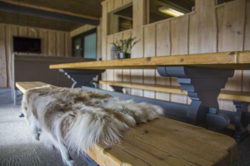 Lillehammer Turistsenter Camping