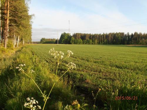 Kalliomajat