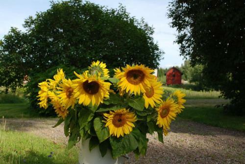 Bed & Breakfast Kristbergs Rusth�ll