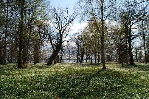 Bed & Breakfast Kristbergs Rusth�ll