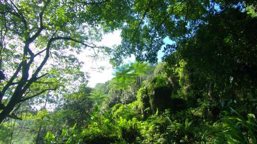Agroturismo Caba�as La Jicarita