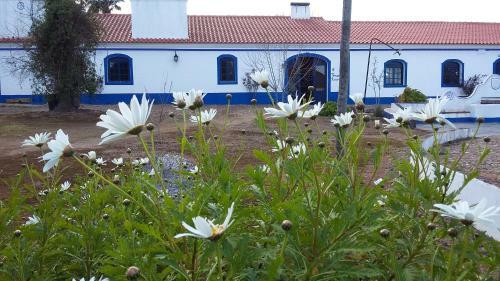 Monte Do Ramalho