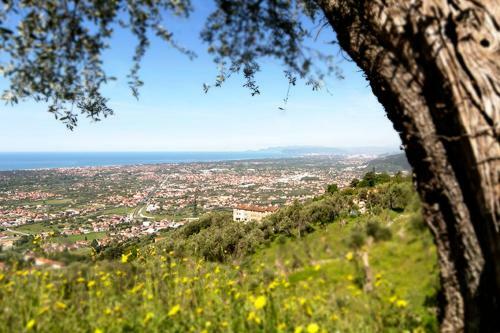 Agroturismo Olimagio