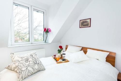 9 Suites Aparthotel