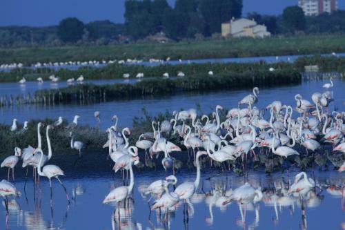 Agroturismo Corte Spina