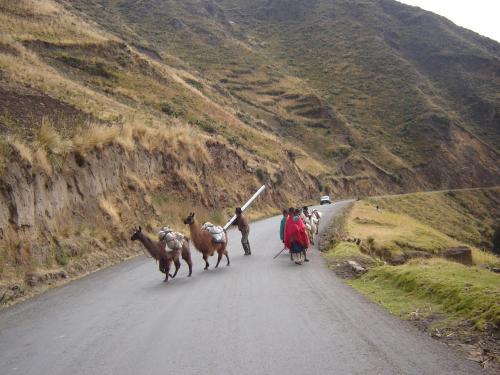 Lodge Caba�as Los Volcanes