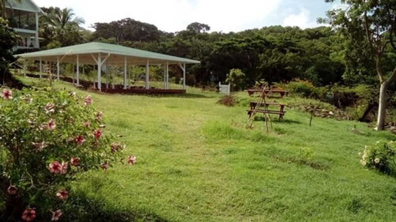 Green Roof Inn