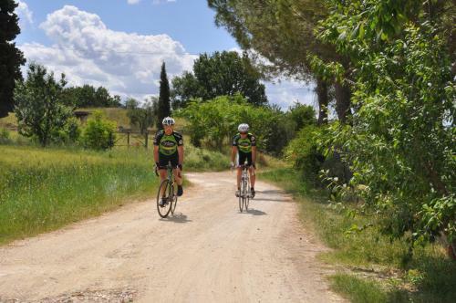 Agroturismo B&B Il Molinello