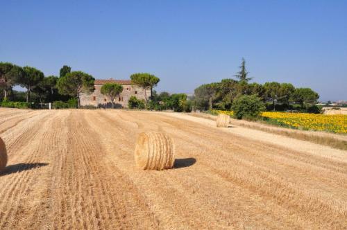 Agroturismo B&B Il Molinello