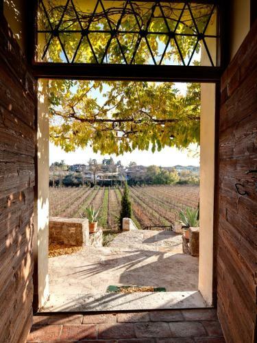 Agroturismo Villa Butussi