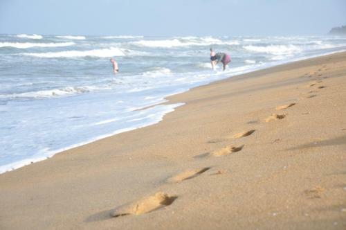 Hotel Laya Beach