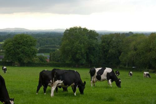 Ballindrum Farm B&B