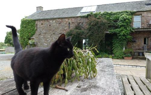 Bed & Breakfast Crake Trees Manor