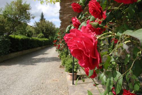 Agroturismo Agriturismo San Ottaviano