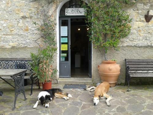 Agroturismo Agriturismo San Ottaviano