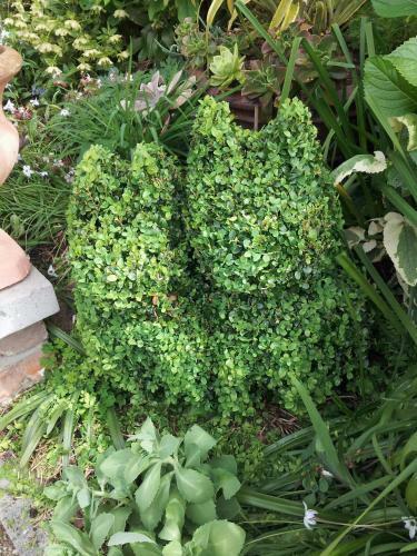 Apartamentos Topiary Haven