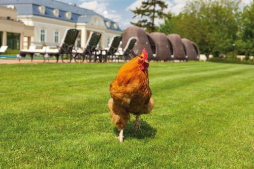 Hotel Amade Ch�teau