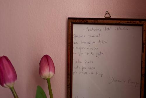 Bed & Breakfast Agora
