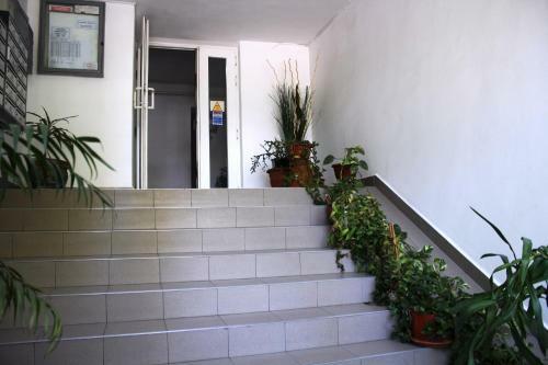 Apartamento Dorobantilor Luxury 1