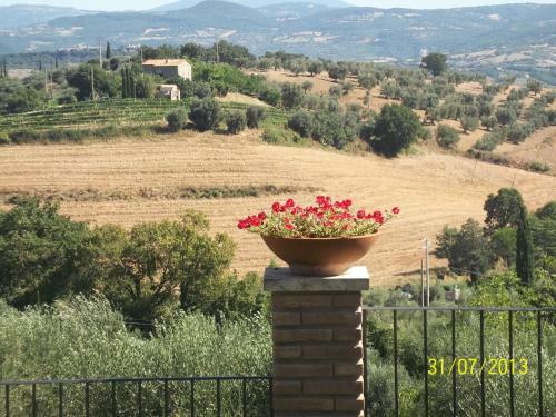 B&B La Piaggia