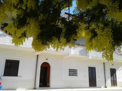 Bed & Breakfast La Mimosa Apartment