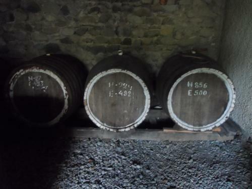 Hostal Tsinandlis Edemi