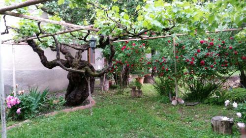 Hostal Tsinandlis Edemi