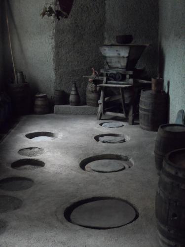 Hostal Tsinandlis Edemi
