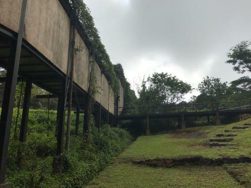 The Rainforest Ecolodge - Sinharaja