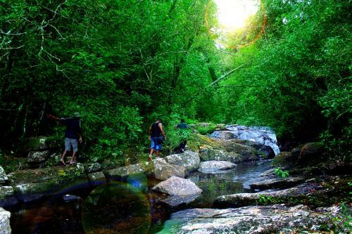 The Rainforest Ecolodge - Sinharaja