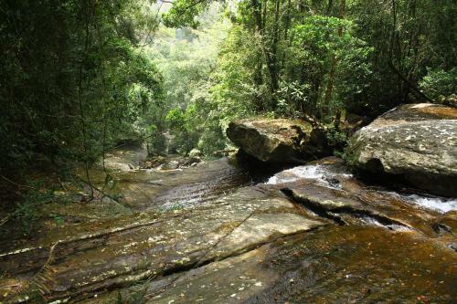 The Rainforest Ecolodge - Sinharaja