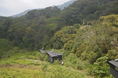 The Rainforest Ecolodge - Sinharaja