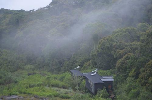 The Rainforest Ecolodge - Sinharaja