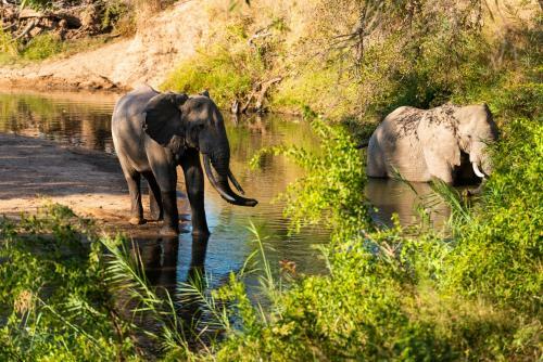 Inyati Game Lodge
