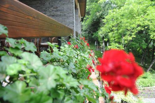 Hotel Restaurant Dreri