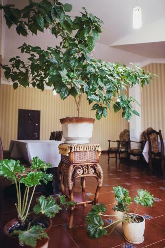 Hotel Complex Zolota Pidkova