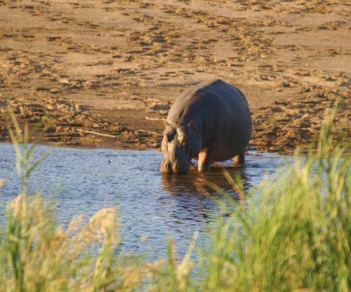 Kruger River Self-catering